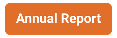 annual report pdf
